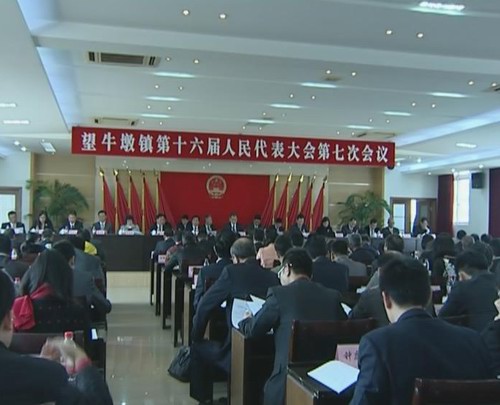 望牛墩镇第十六届人民代表大会第七次会议召开