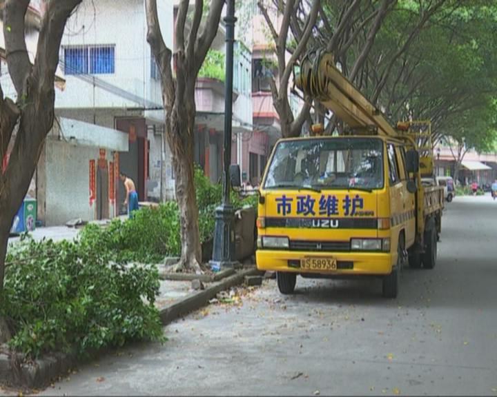 《推动环境再造 建设生态水乡》 修剪临街树木 还市民整洁明亮市容环境