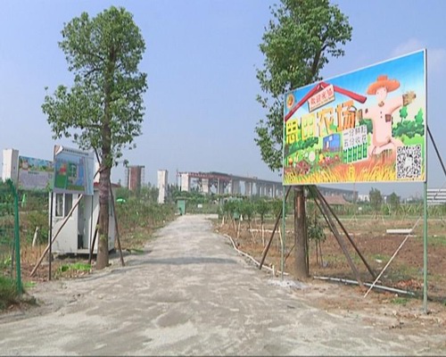 我镇统筹近300亩农地开发建设休闲观光农场