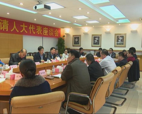 我镇召开2015年镇长约请人大代表座谈会