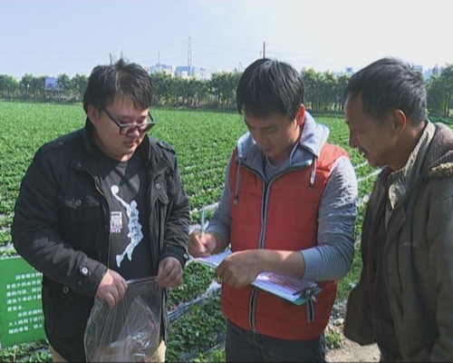 农技中心深入田间地头抽样检测果蔬农残