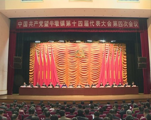 中共望牛墩镇第十四届代表大会第四次会议召开