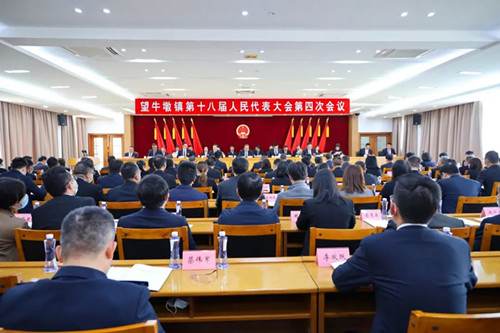 望牛墩镇第十八届人民代表大会第四次会议胜利召开