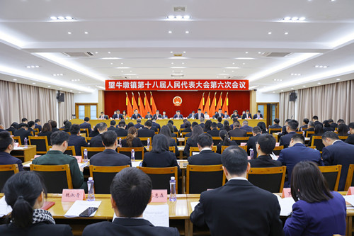 望牛墩镇第十八届人民代表大会第六次会议召开