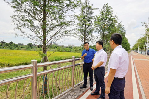 望牛墩镇党委书记郑晓坚带队督导耕地保护和粮食安全工作