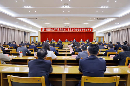 望牛墩镇召开传达学习贯彻党的二十届三中全会精神干部大会