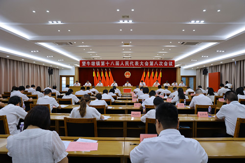 望牛墩镇第十八届人民代表大会第八次会议召开  曹玉华当选为望牛墩镇人民政府副镇长