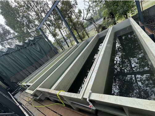 望牛墩：违法启用已拆除的清洗工序？查处！